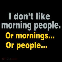 I Don't Like Morning People Ornament thumb 1
