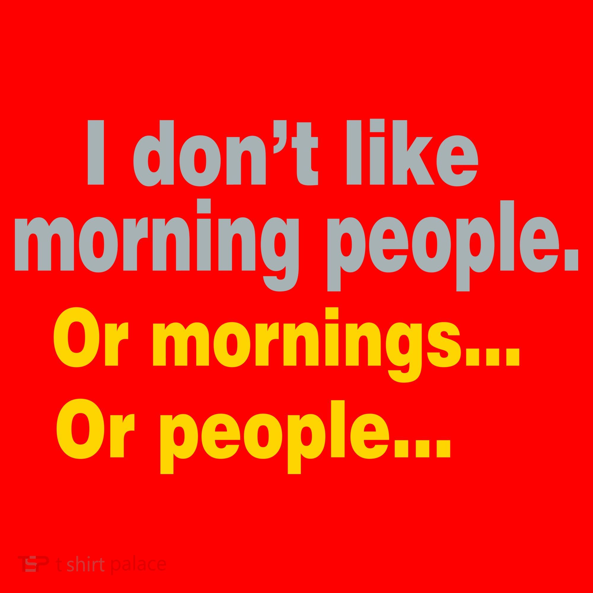 I Don't Like Morning People Santa Hat