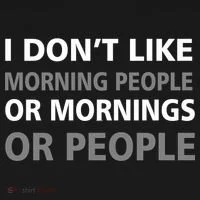 I Don't Like Mornings Or People Toddler Hoodie thumb 2