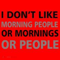 I Don't Like Mornings Or People Santa Hat thumb 1