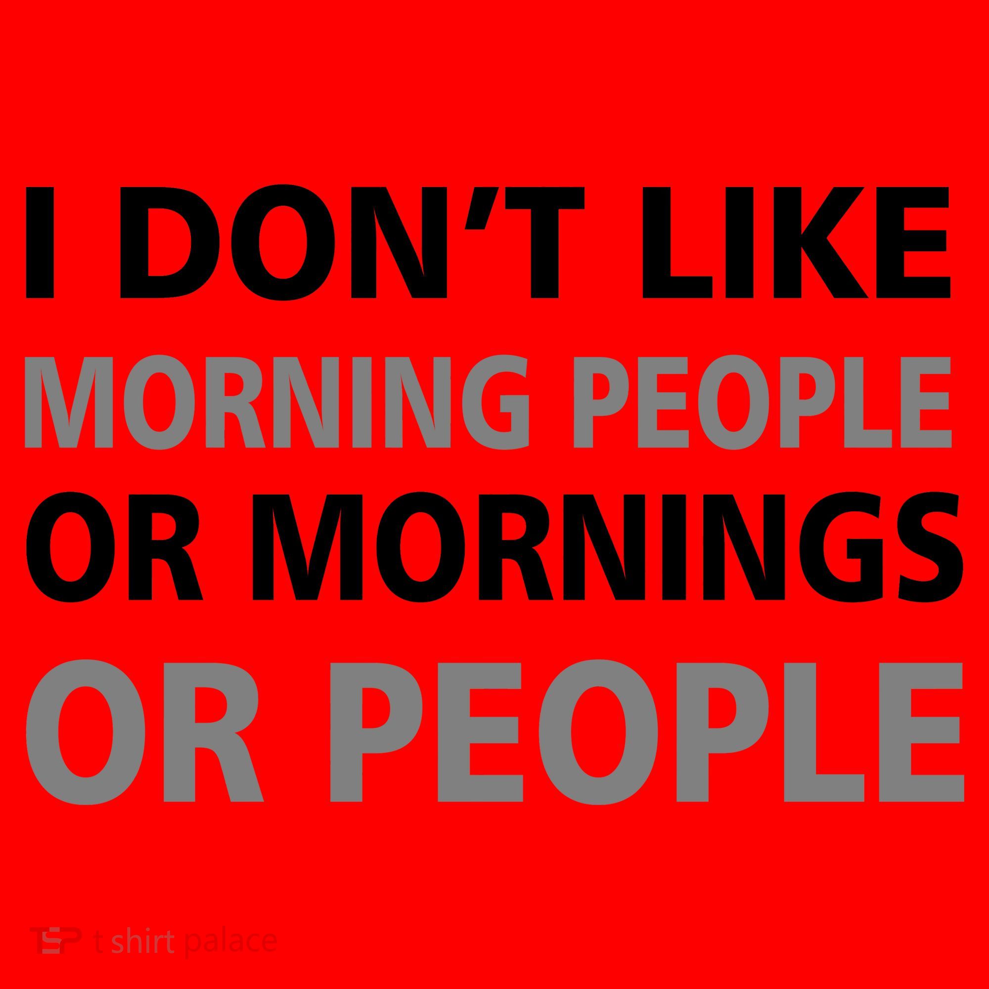I Don't Like Mornings Or People Santa Hat