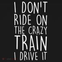 I Don't Ride on the Crazy Train I Drive It Ornament thumb 1