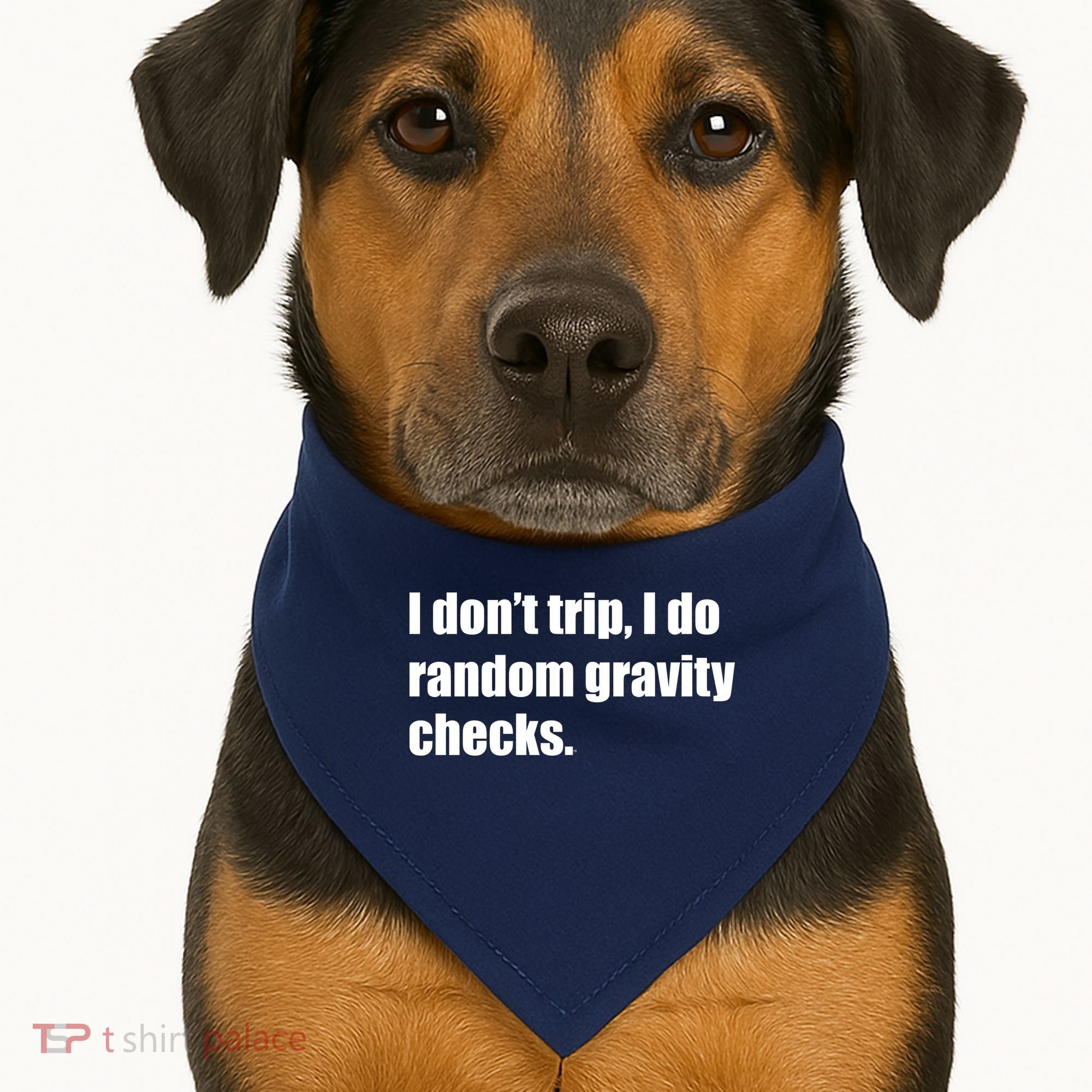 I Don't Trip Random Gravity Checks USA-Made Doggie Bandana