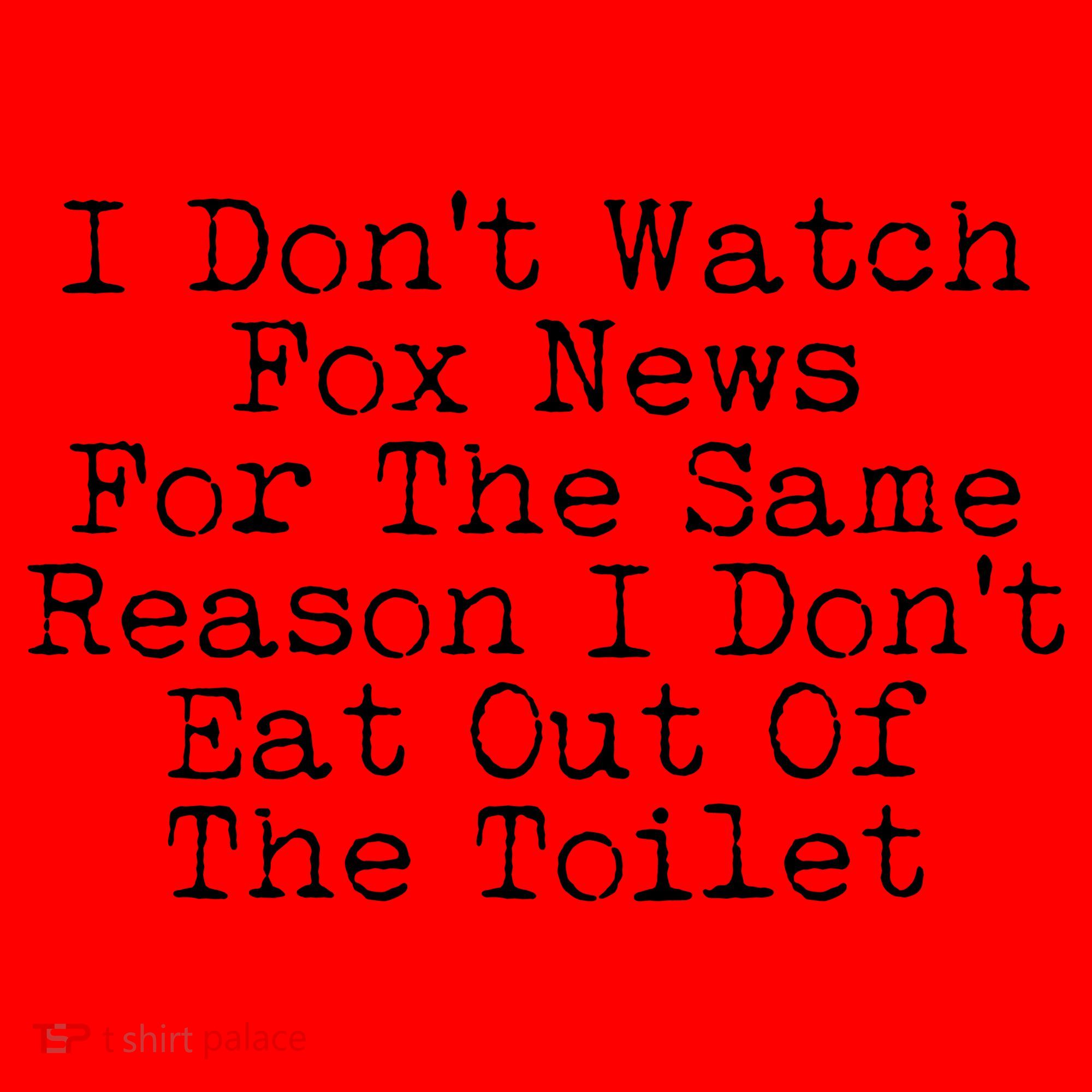 I Don't Watch Fox News Funny Political Santa Hat