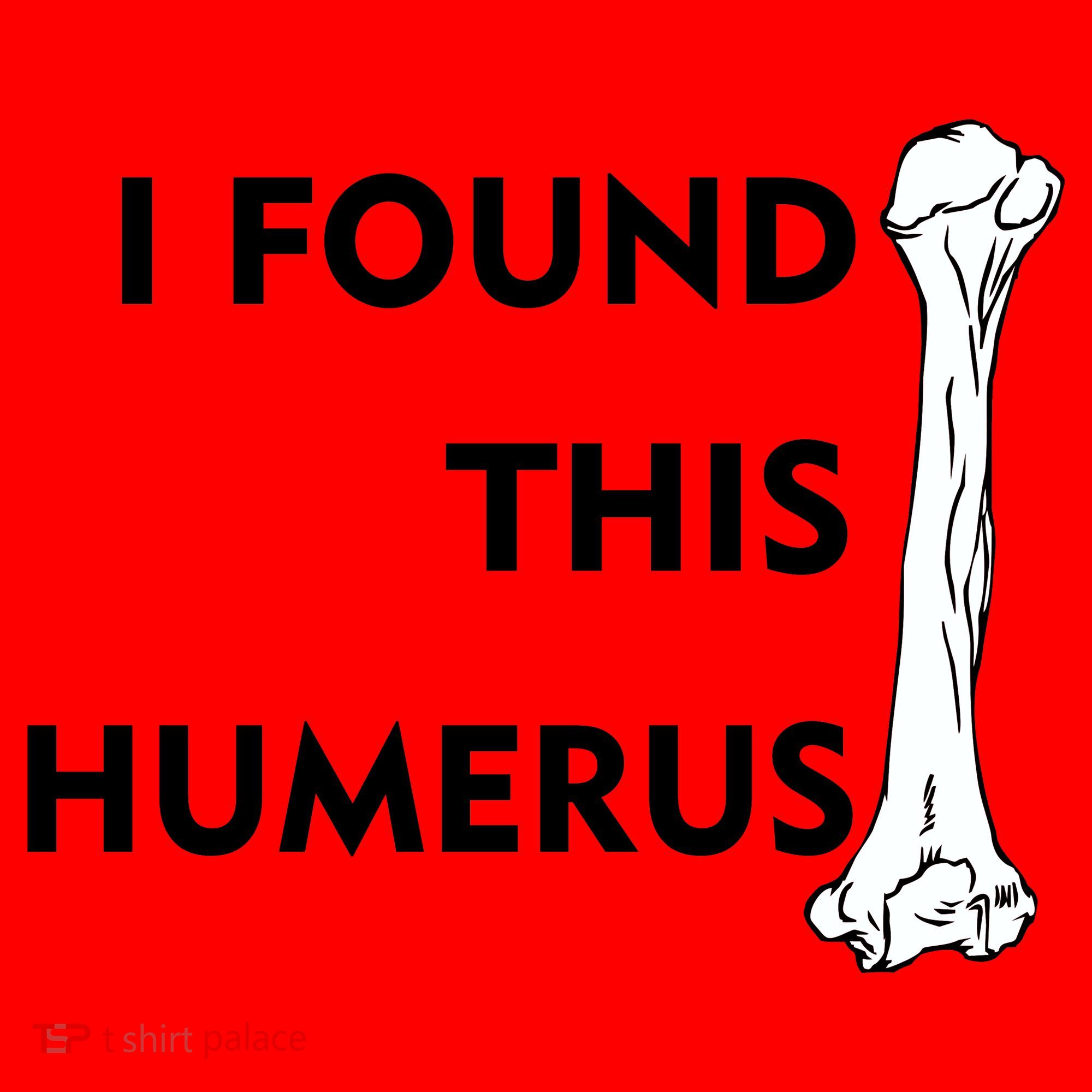 I Found This Humerus Santa Hat