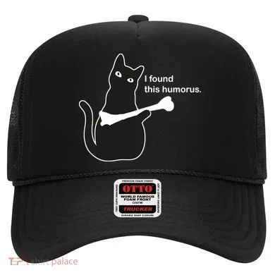 I Found This Humorous Cat Hat