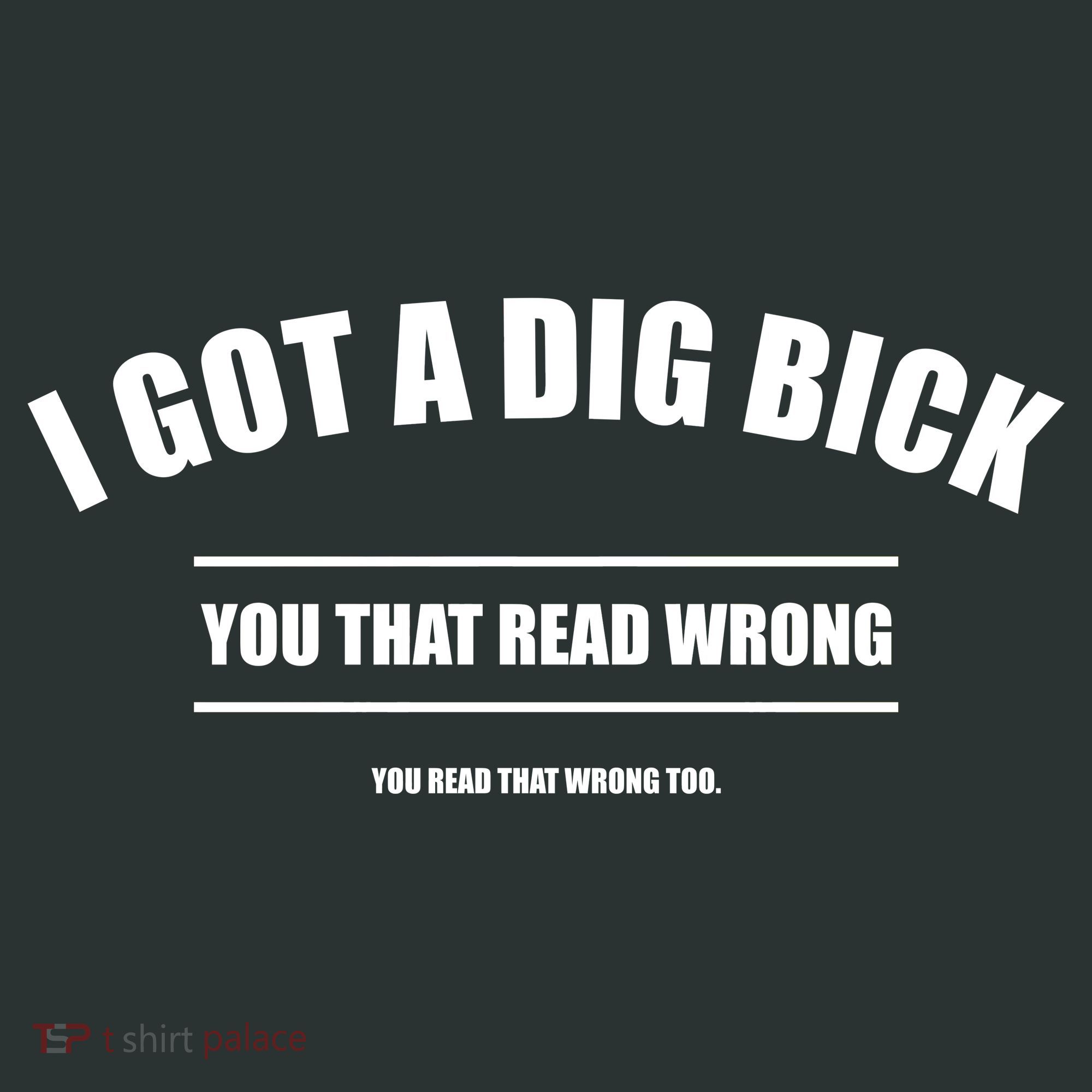 I Got a Dig Bick You Read That Wrong Funny Word Play T-Shirt