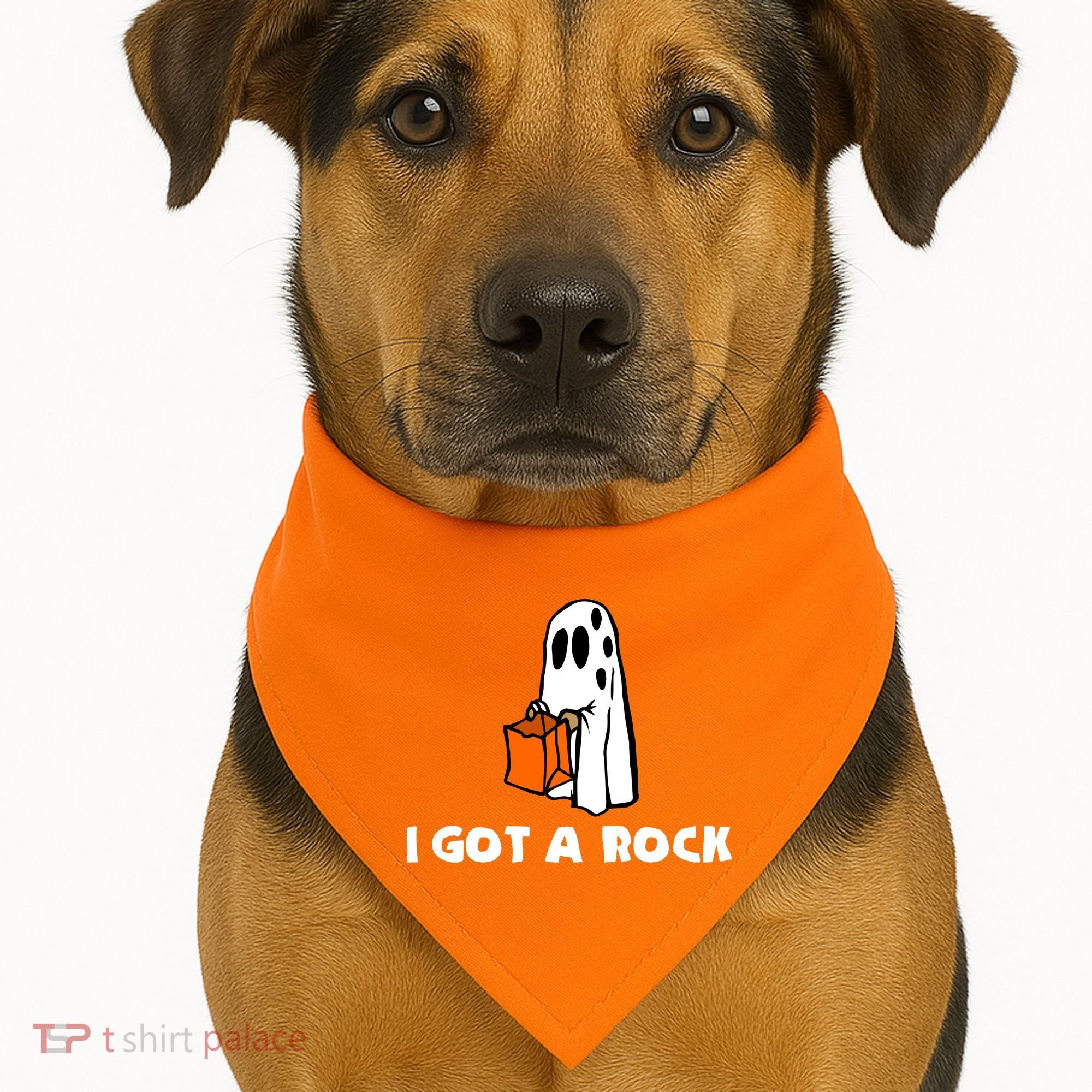 I Got A Rock USA-Made Doggie Bandana
