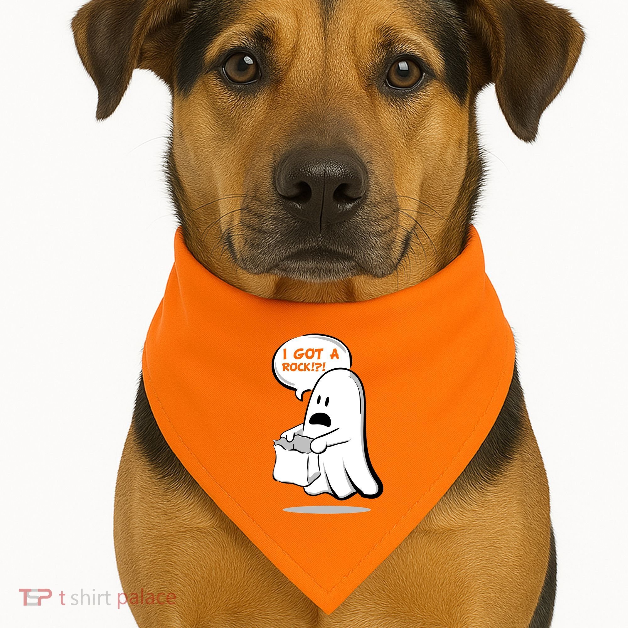 I Got A Rock!?! Halloween Ghost Trick or Treat USA-Made Doggie Bandana