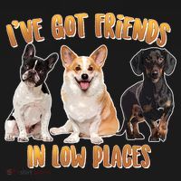 I Got Friends In Low Places Dogs Ornament thumb 1