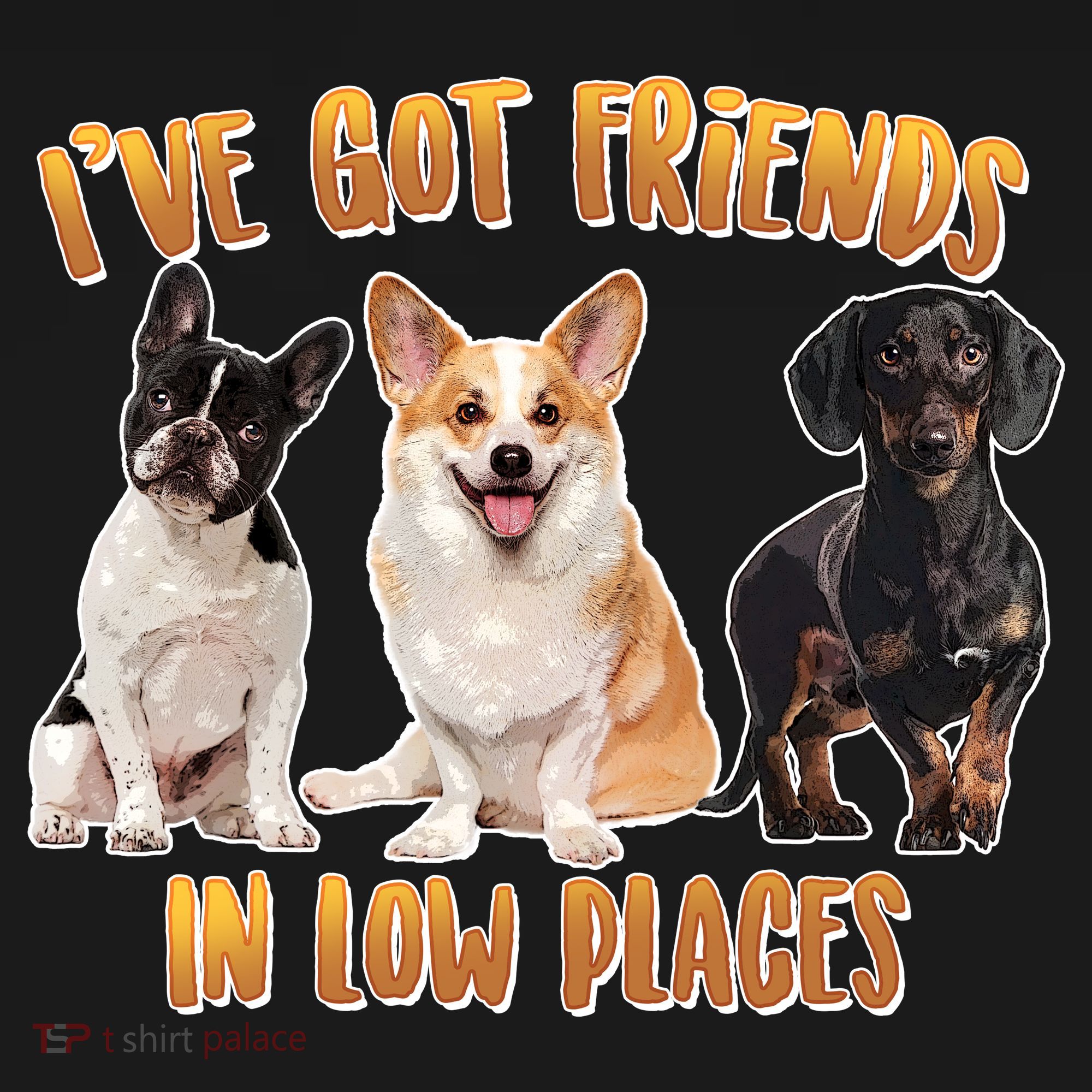 I Got Friends In Low Places Dogs Ornament
