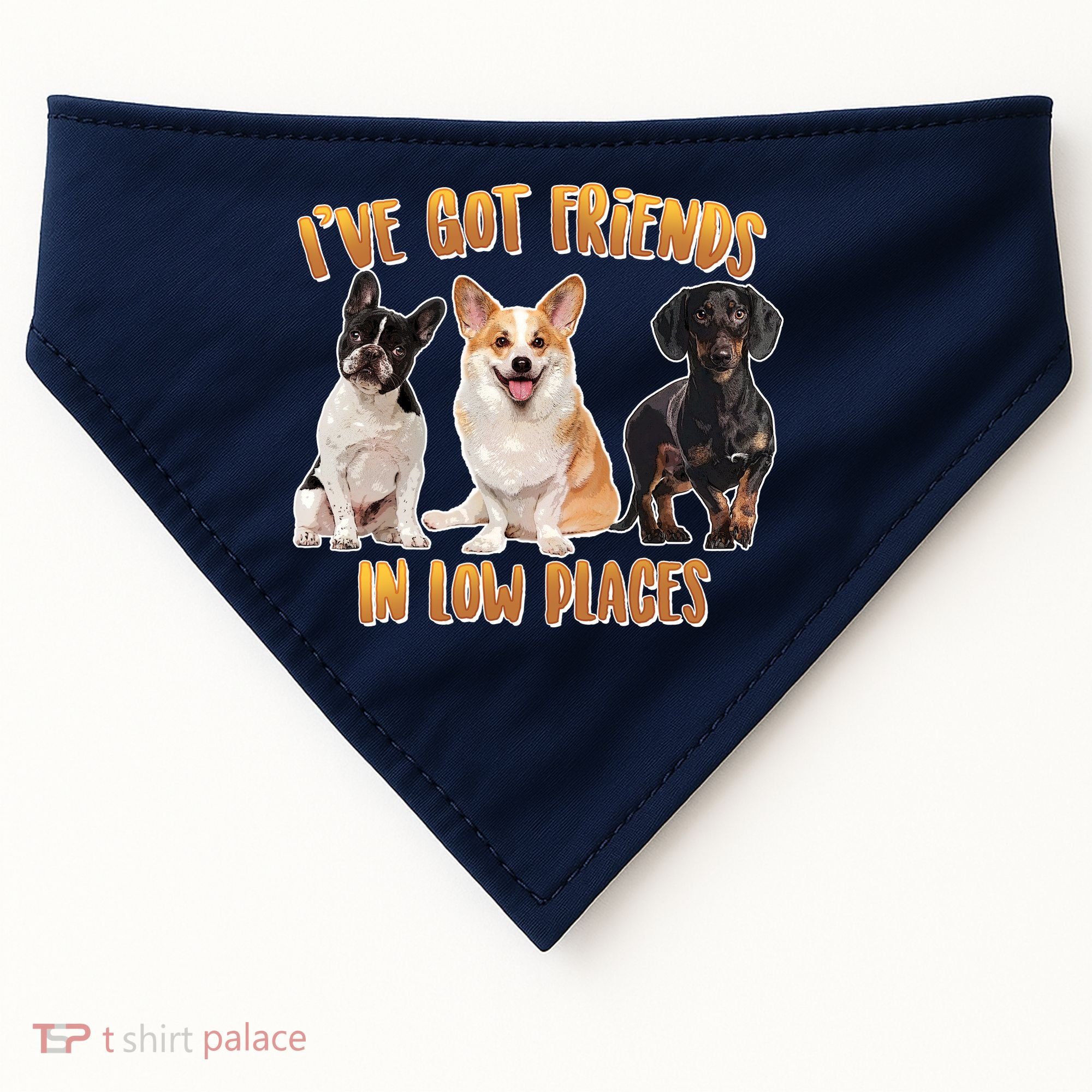 I Got Friends In Low Places Dogs USA-Made Doggie Bandana