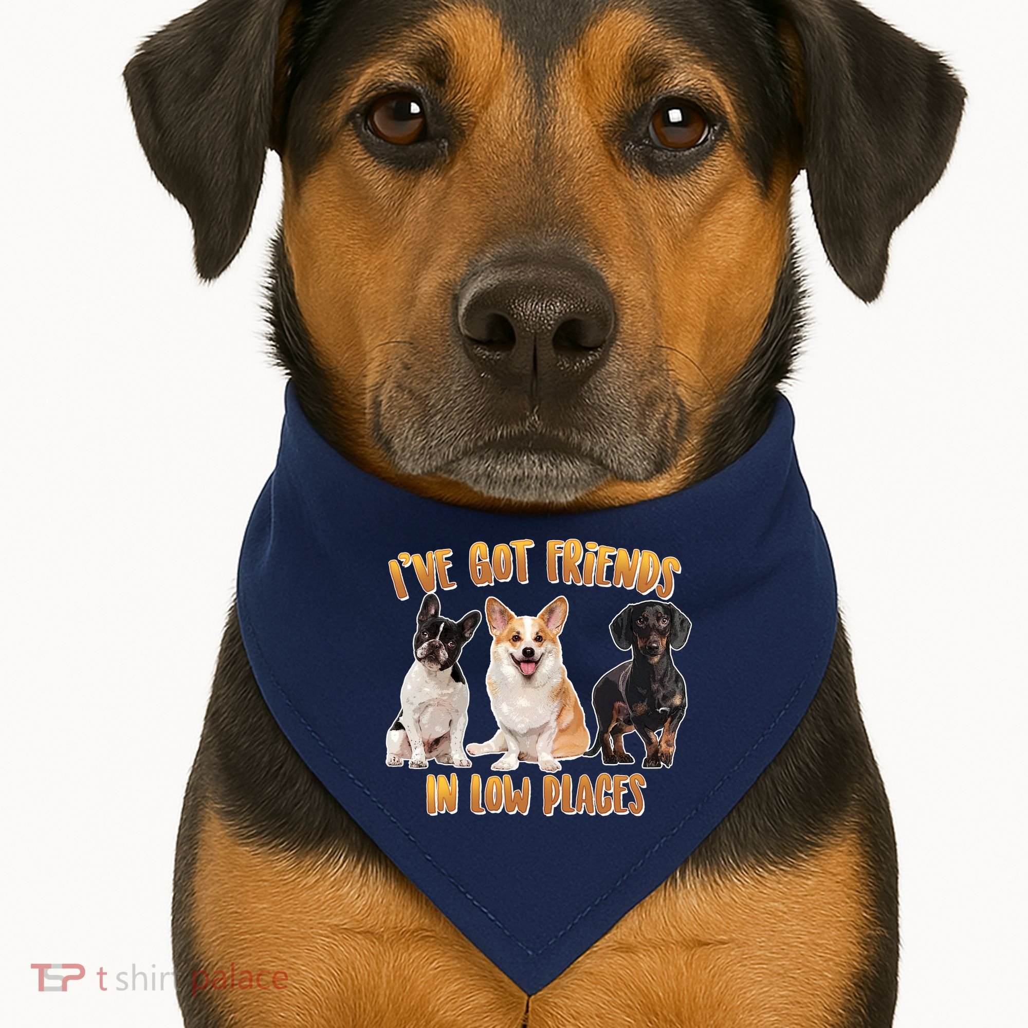 I Got Friends In Low Places Dogs USA-Made Doggie Bandana