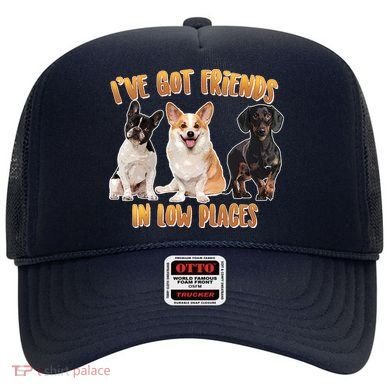 I Got Friends In Low Places Dogs Hat