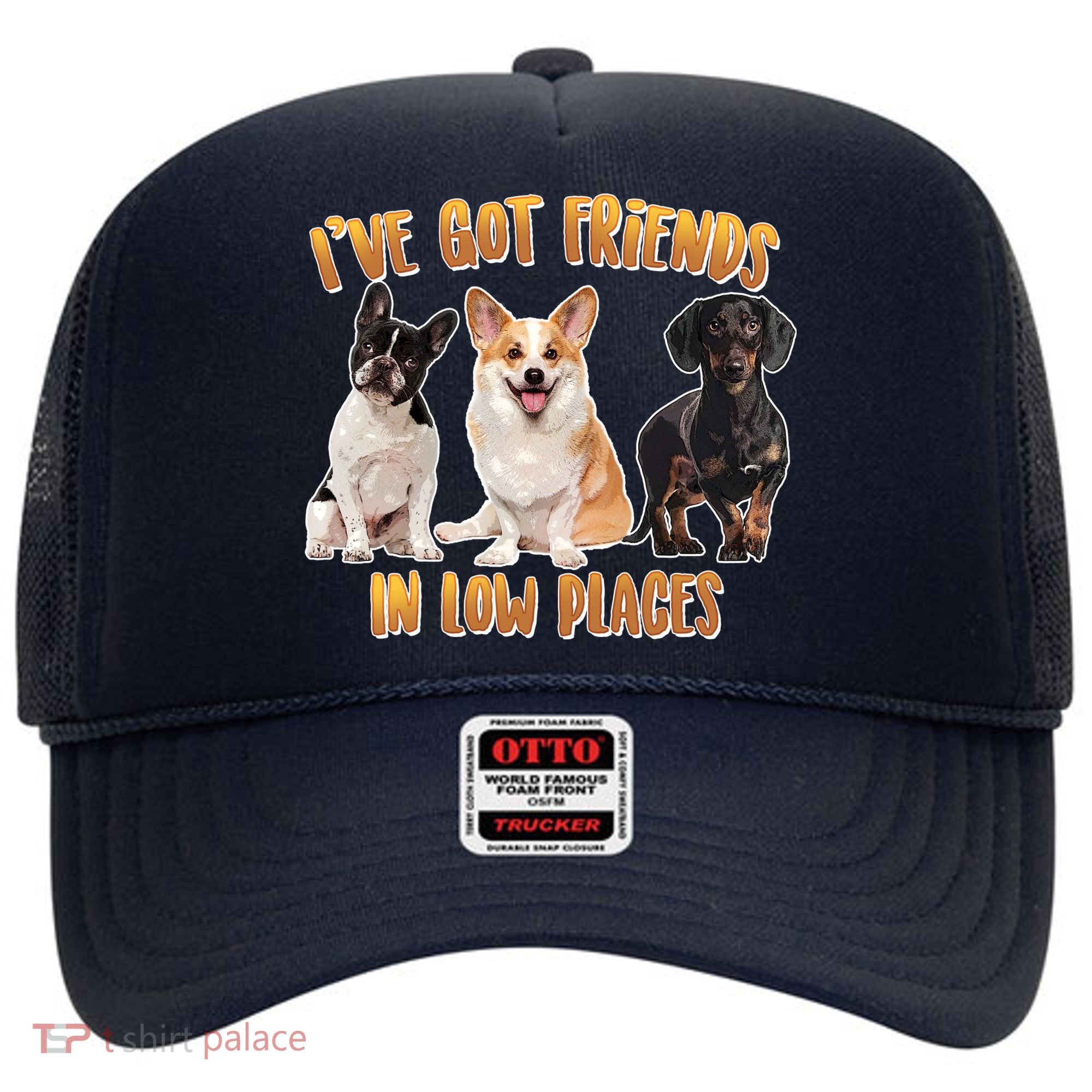 I Got Friends In Low Places Dogs Hat