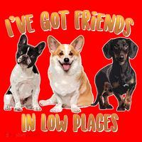 I Got Friends In Low Places Dogs Santa Hat thumb 1
