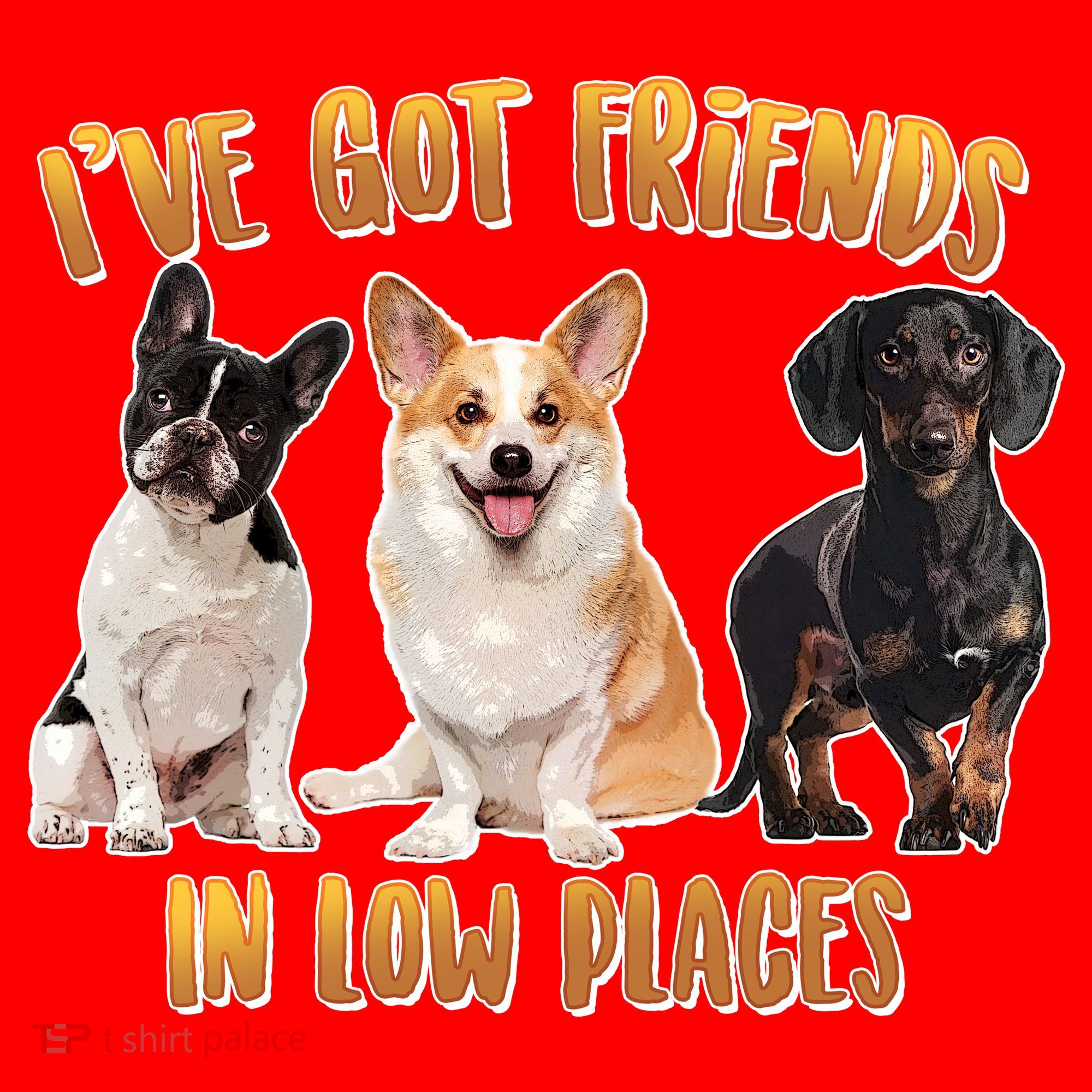I Got Friends In Low Places Dogs Santa Hat