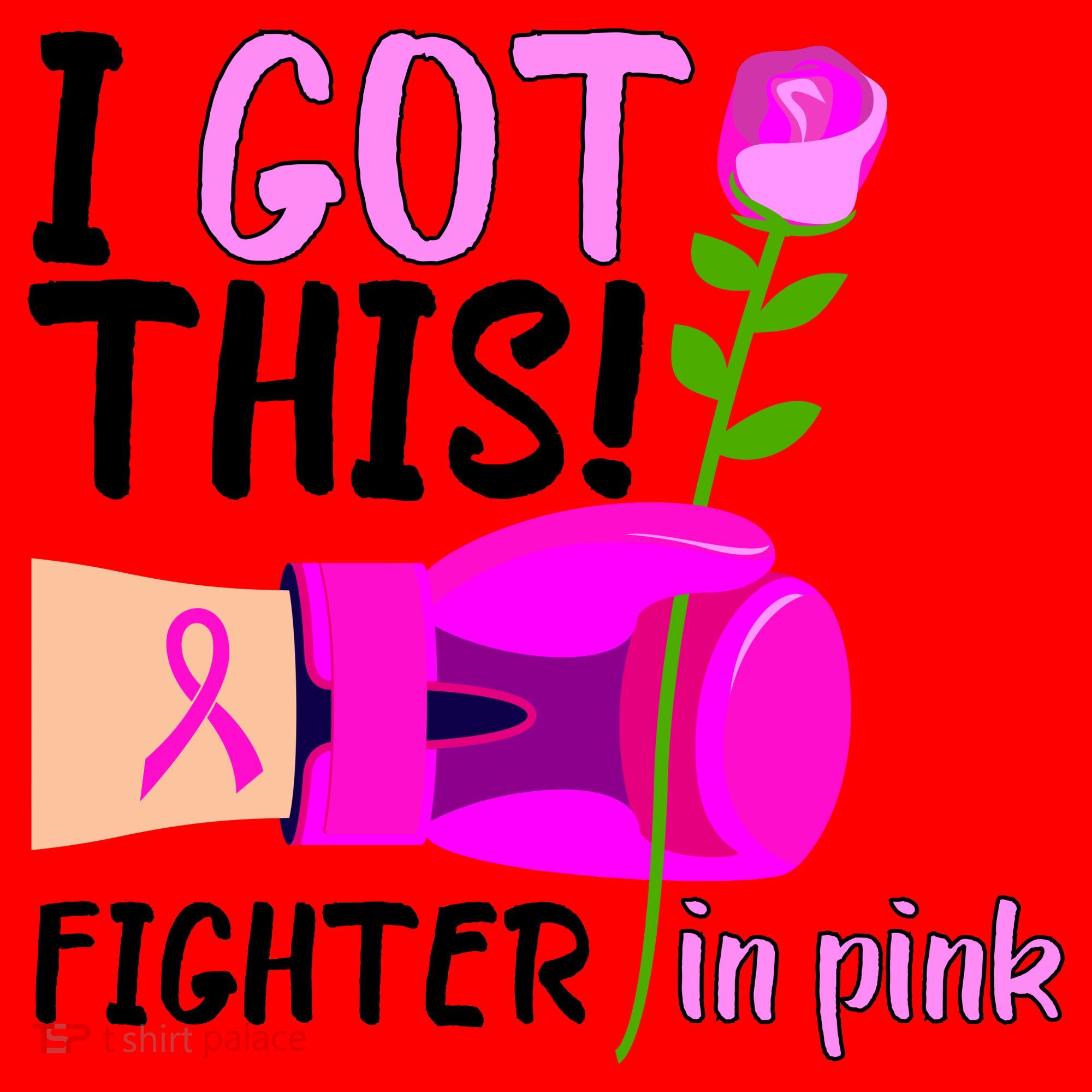 I Got This Fighter In Pink Breast Cancer Santa Hat