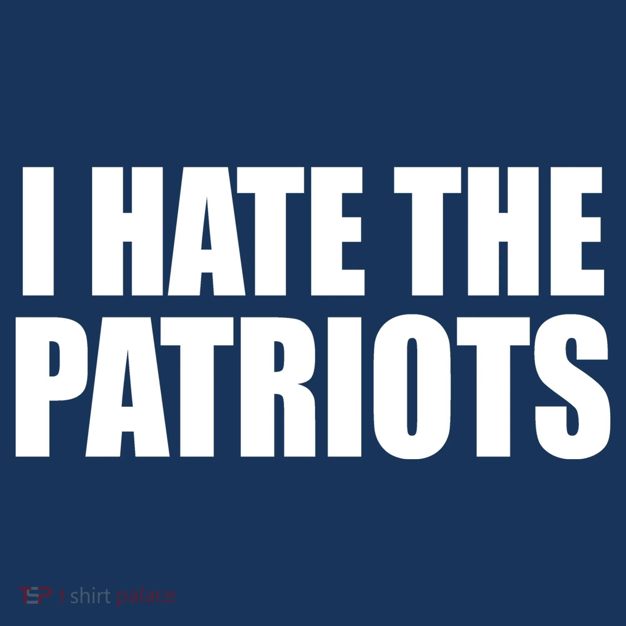 I Hate The Patriots Beanie