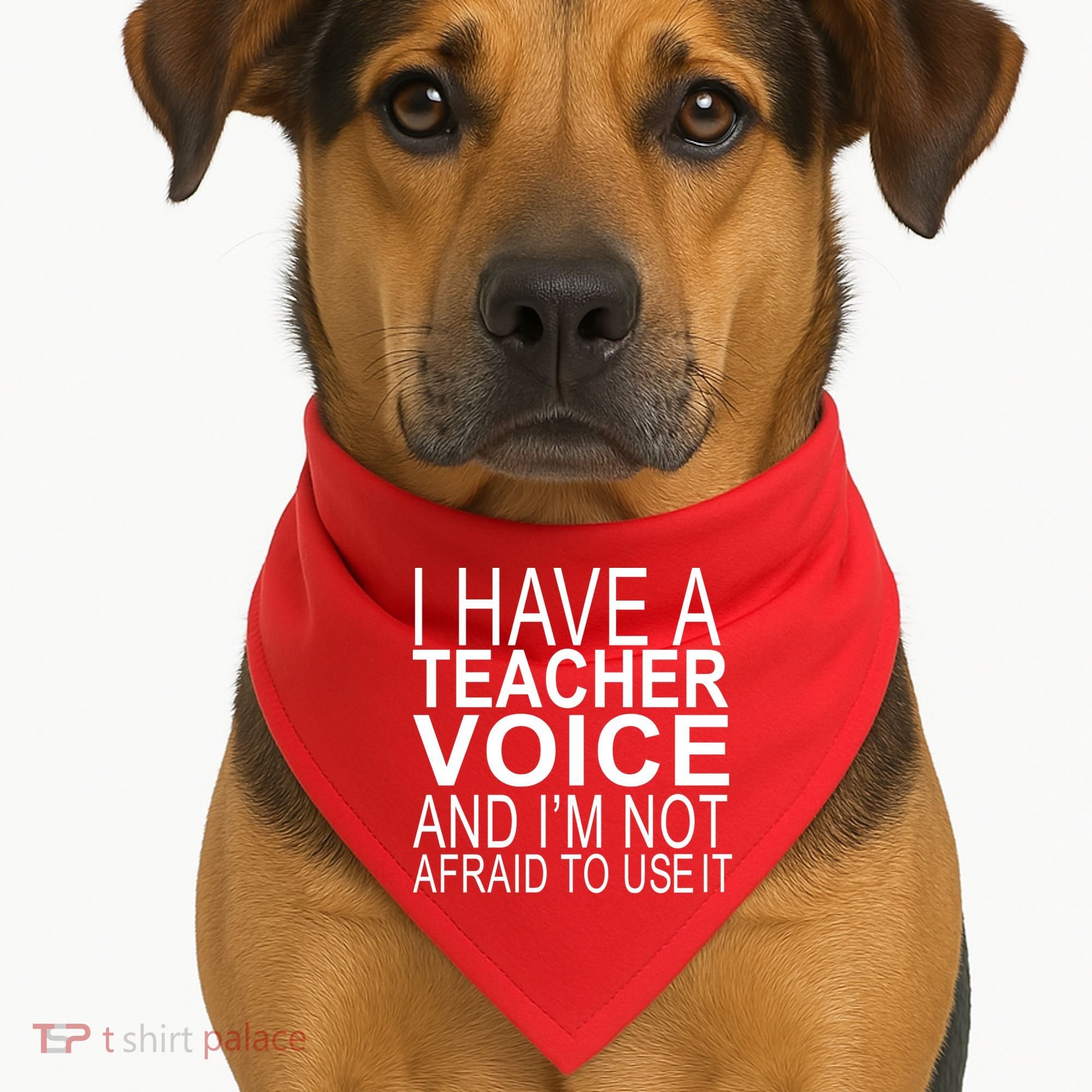 I Have A Teacher Voice And I'm Not Afraid To Use It USA-Made Doggie Bandana