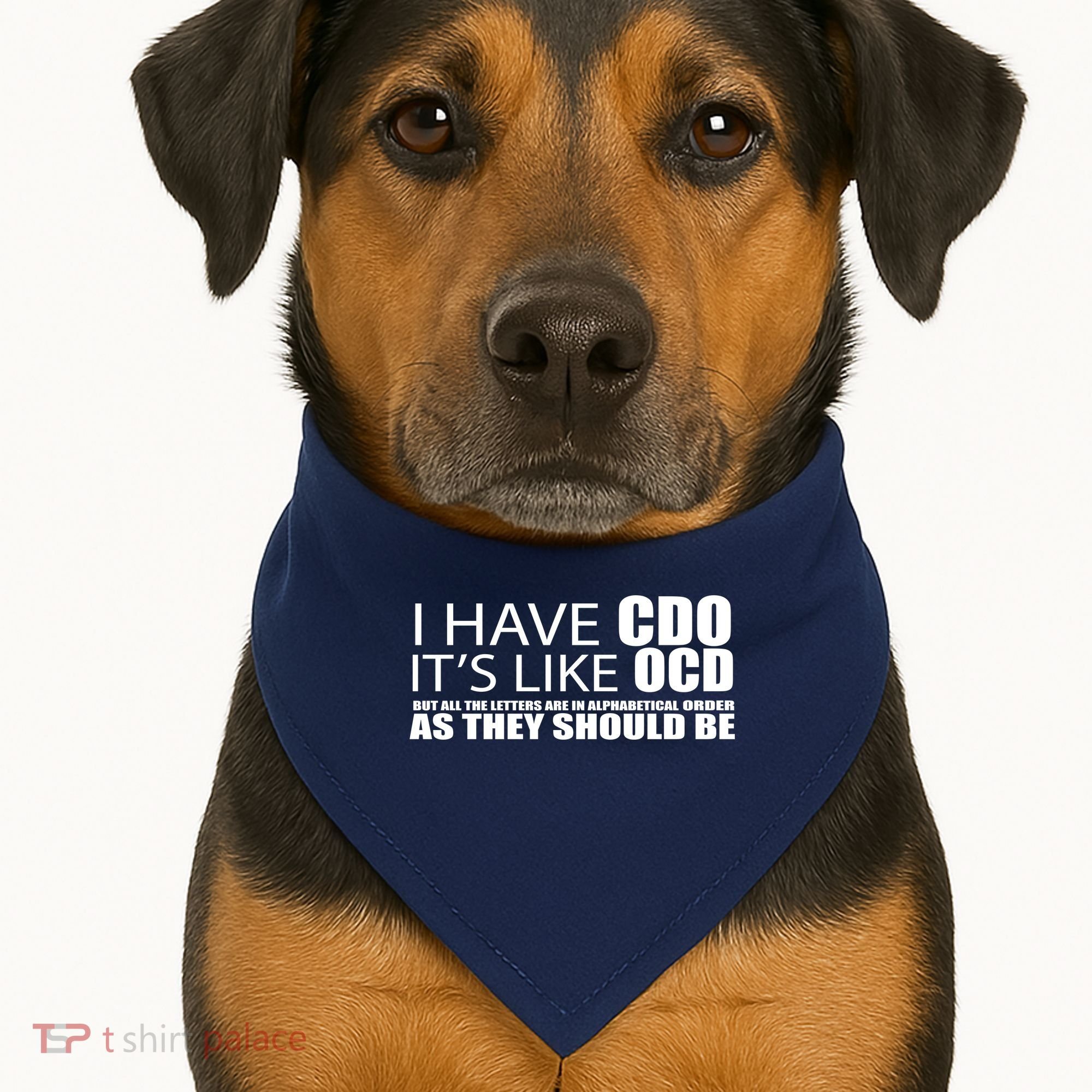 I Have CDO It's Like OCD Funny Sarcastic USA-Made Doggie Bandana