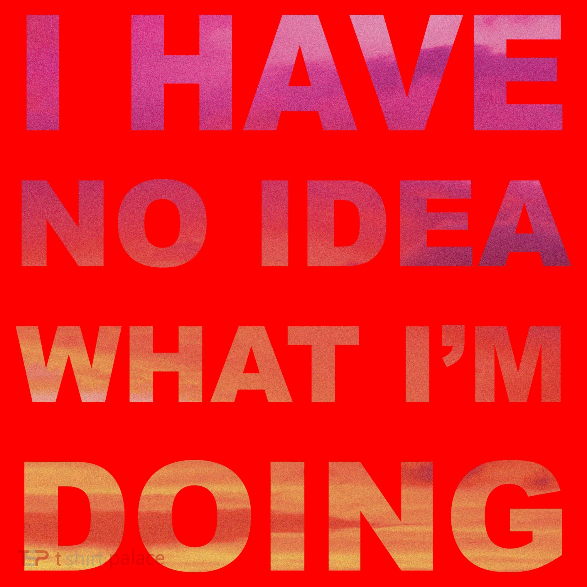 I Have No Idea What I'm Doing Santa Hat