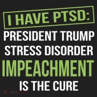 I Have PTSD President Trump Stress Disorder Beanie thumb 2