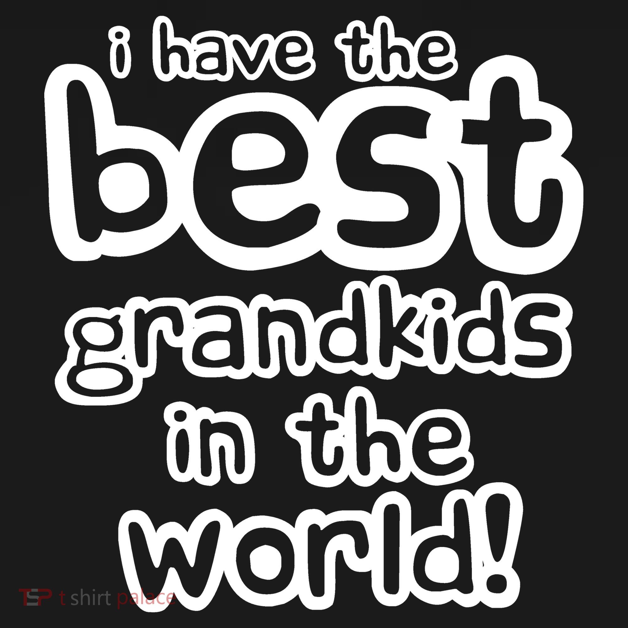 I Have The Best Grandkids In The World Women's Hoodie