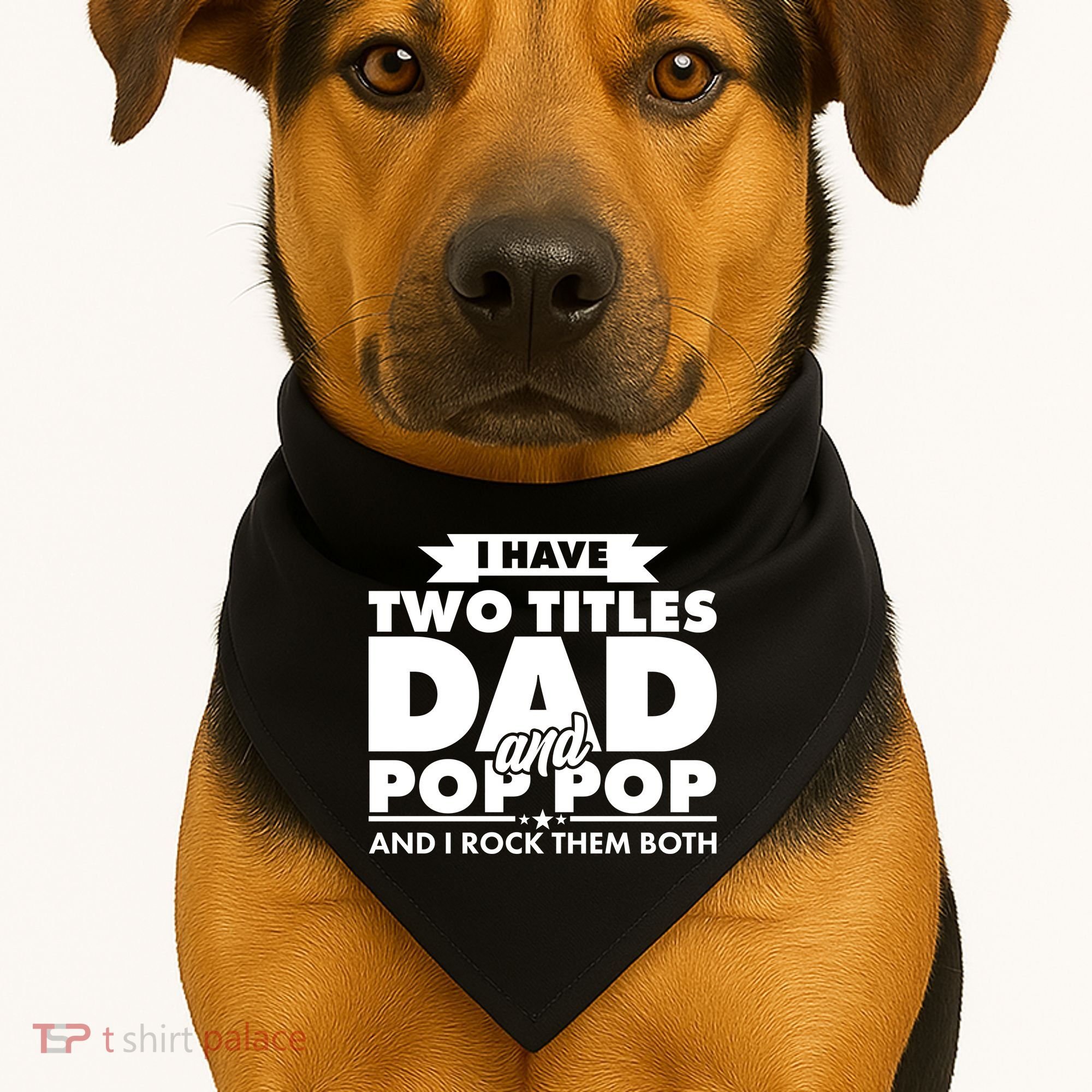 I Have Two Titles Dad And Pop Pop USA-Made Doggie Bandana