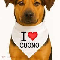 I Heart Cuomo USA-Made Doggie Bandana thumb 1