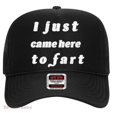 I Just Came Here To Fart Hat