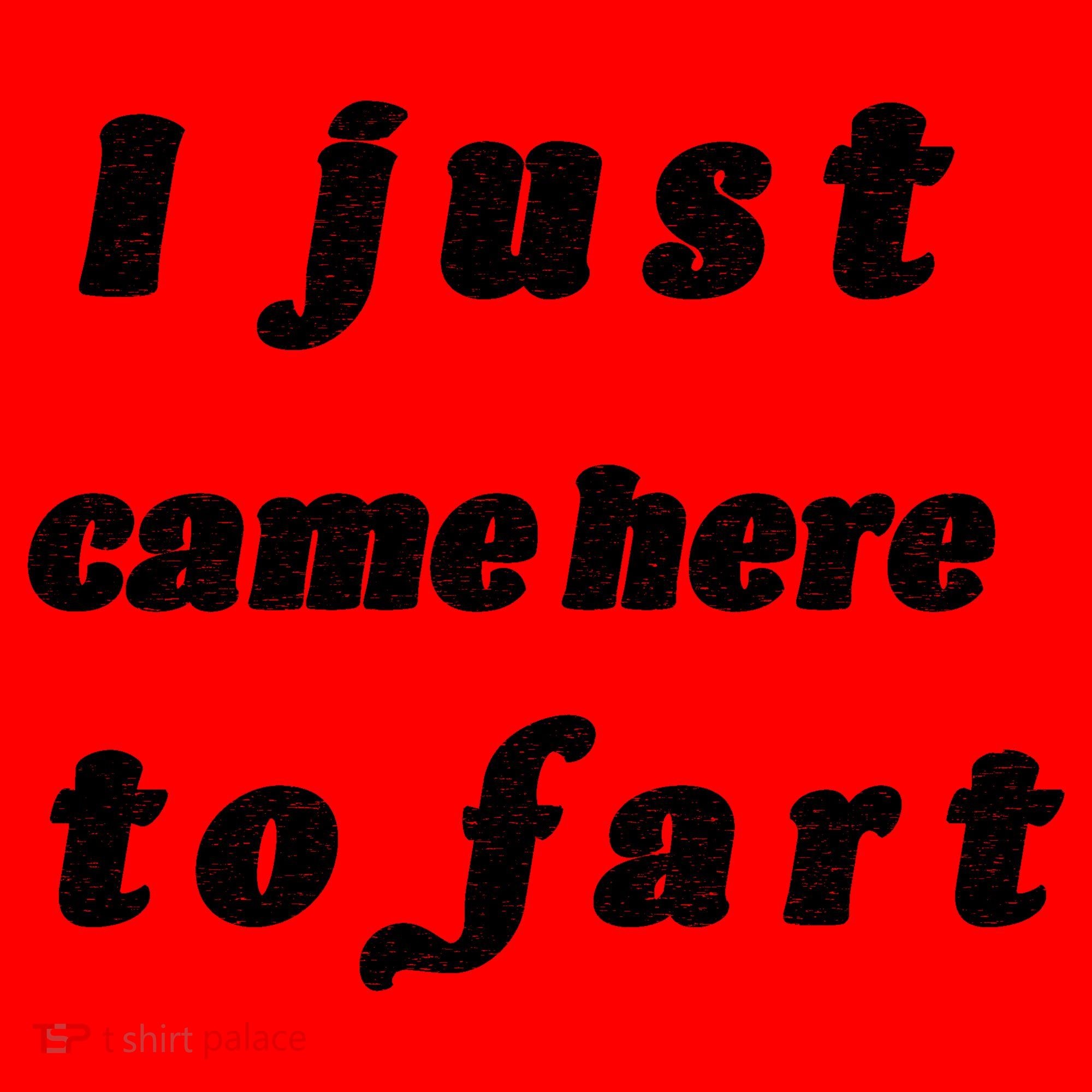 I Just Came Here To Fart Santa Hat