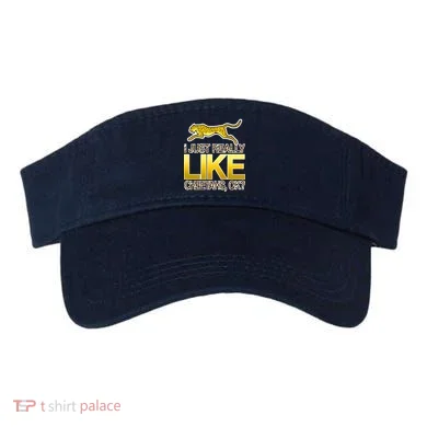 Visor