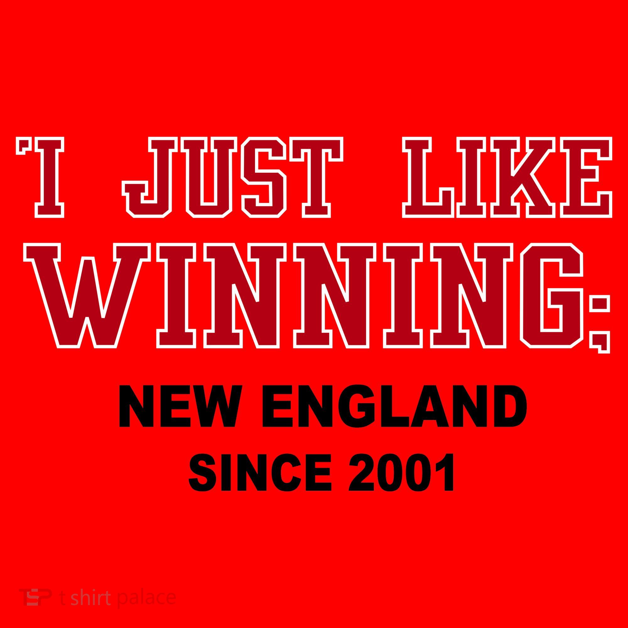 I Just Like Winning New England Santa Hat