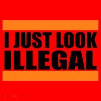 I Just Look Illegal Box Santa Hat thumb 1