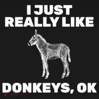 I Just Really Like Donkeys Ok USA-Made Doggie Bandana thumb 2