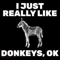I Just Really Like Donkeys Ok Hoodie thumb 7