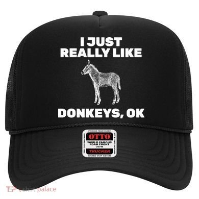 I Just Really Like Donkeys Ok Hat