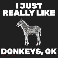 I Just Really Like Donkeys Ok Hat thumb 2