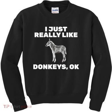I Just Really Like Donkeys Ok Kids Sweatshirt