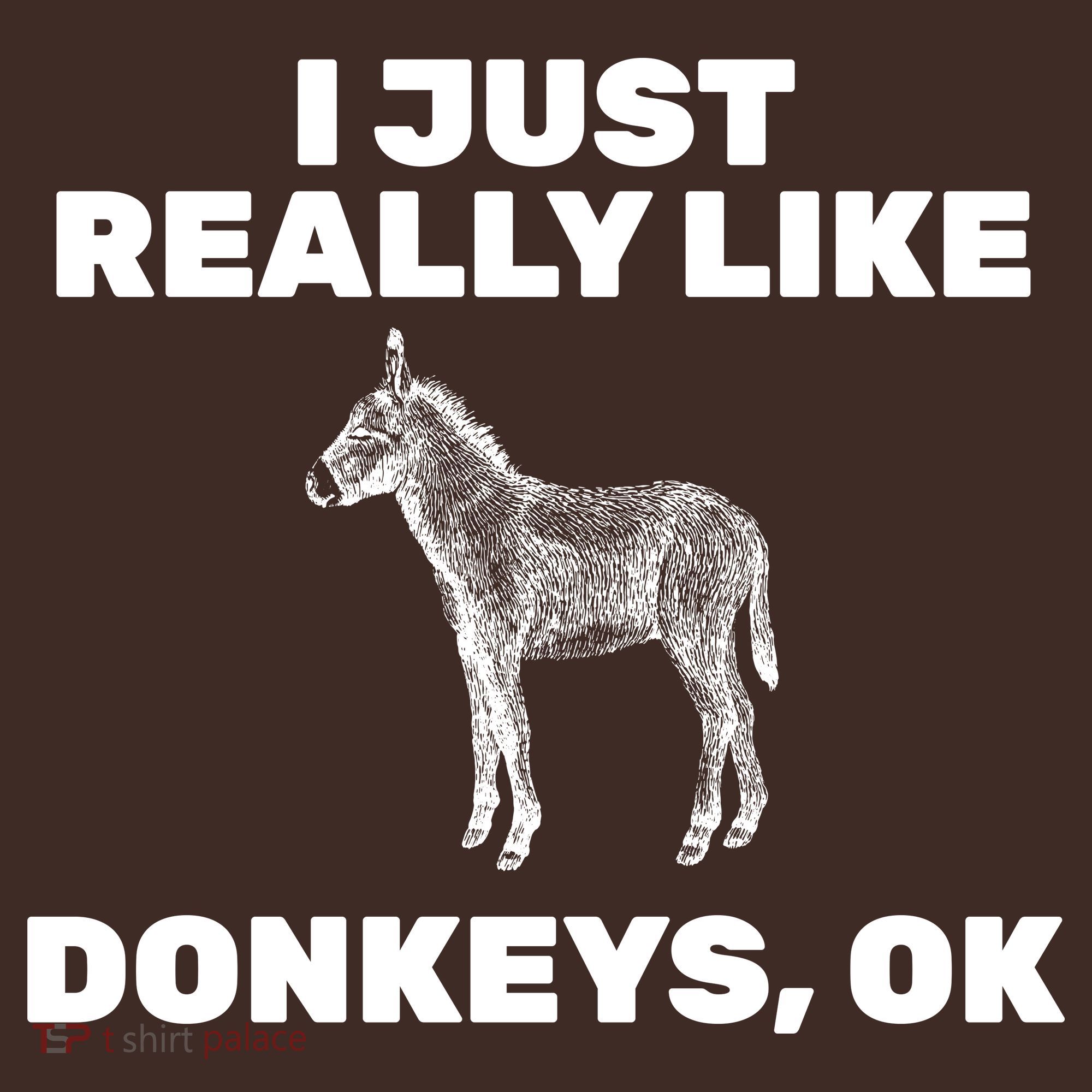 I Just Really Like Donkeys Ok Beanie