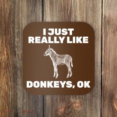 I Just Really Like Donkeys Ok Coaster