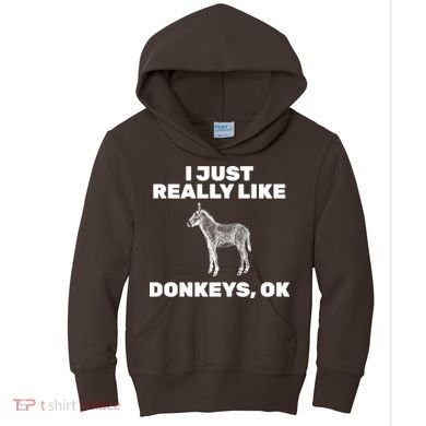 I Just Really Like Donkeys Ok Kids Hoodie