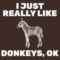 I Just Really Like Donkeys Ok Kids Hoodie thumb 2