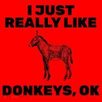 I Just Really Like Donkeys Ok Santa Hat thumb 1