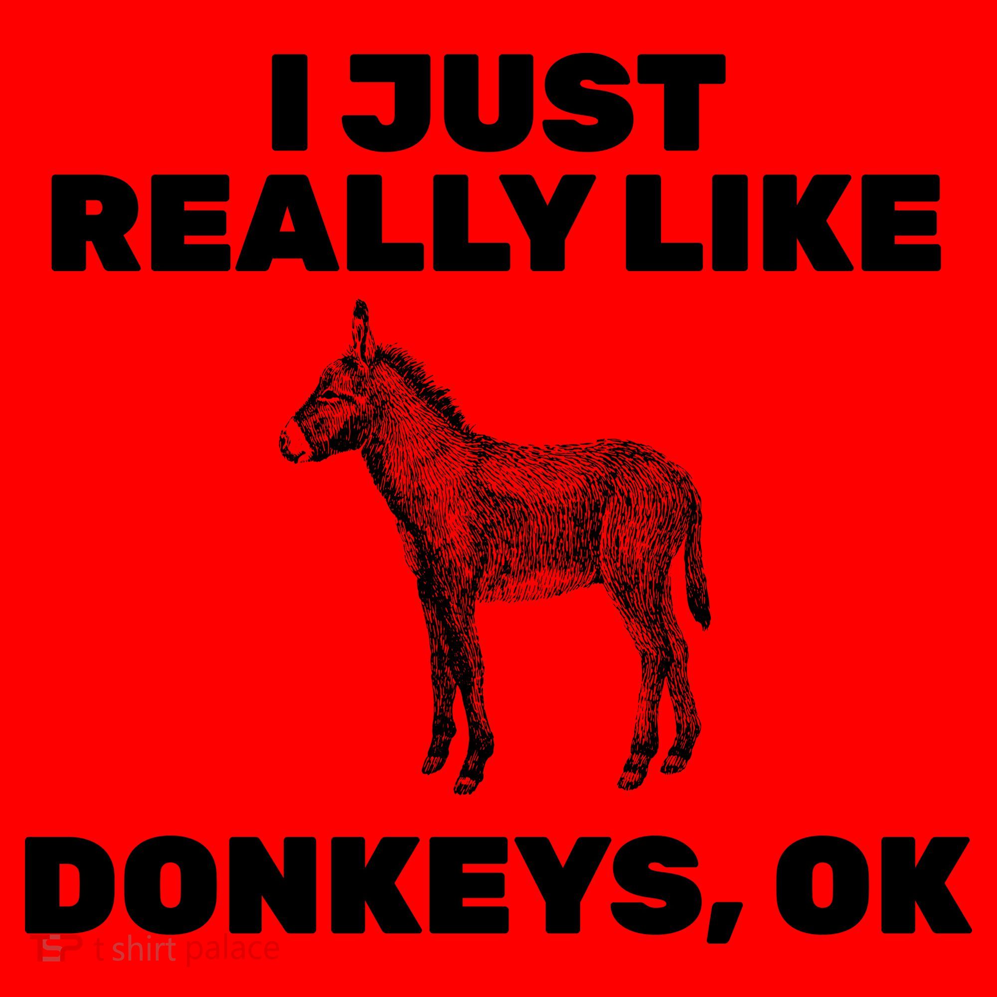 I Just Really Like Donkeys Ok Santa Hat