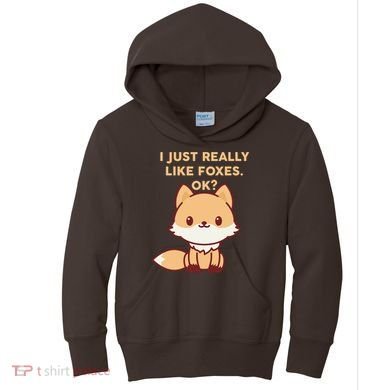 I Just Really Like Foxes OK Kids Hoodie