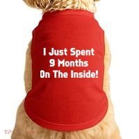 I Just Spent 9 Months on the Inside Doggie Tank thumb 0
