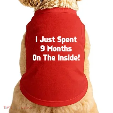 I Just Spent 9 Months on the Inside Doggie Tank