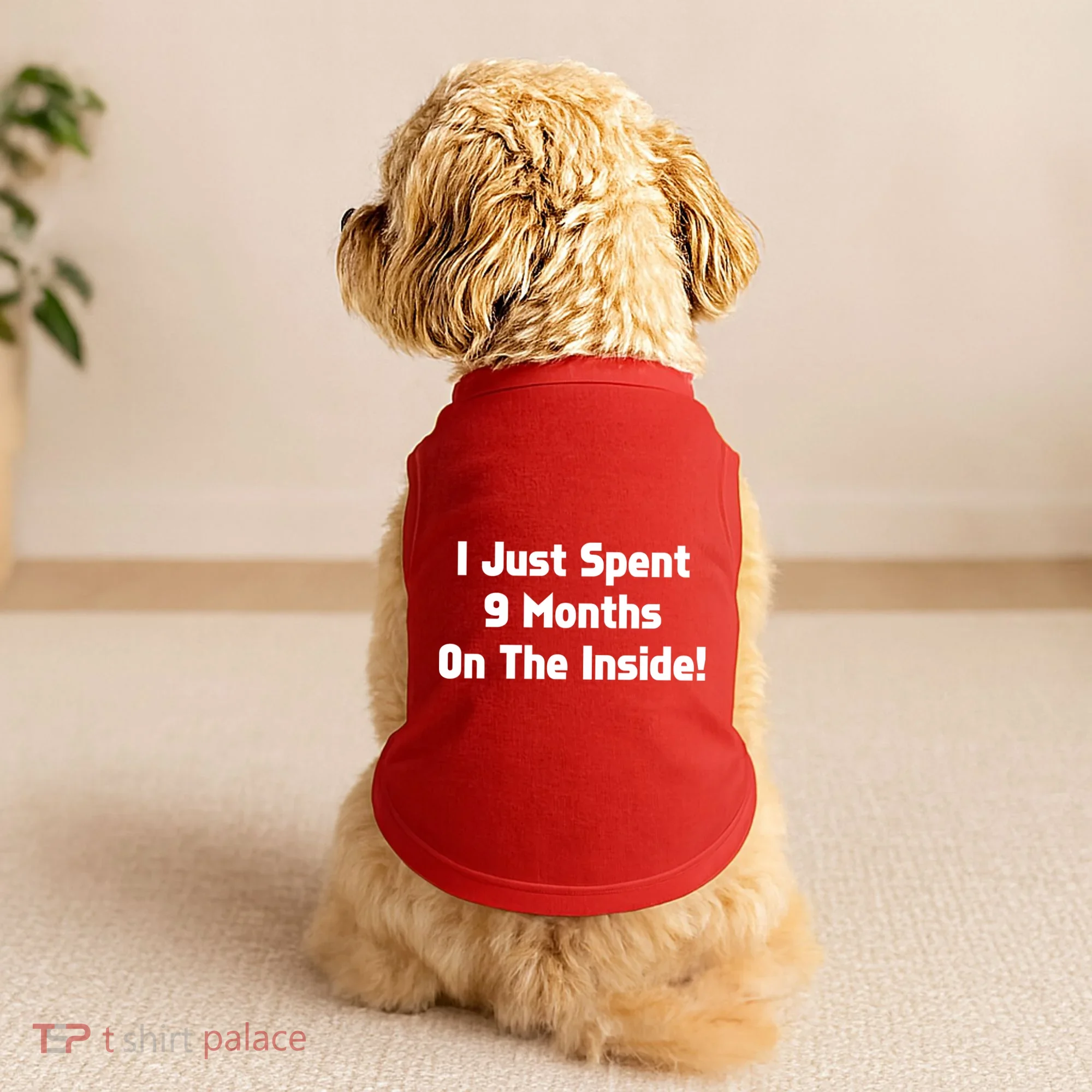 I Just Spent 9 Months on the Inside Doggie Tank